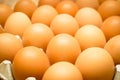 The Nutritional Value of Egg whites are a low-calorie, fat-free Royalty Free Stock Photo